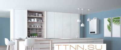 Настенный газовый котел Thermex Andromeda HM24