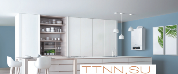 Настенный газовый котел Thermex Andromeda HM24