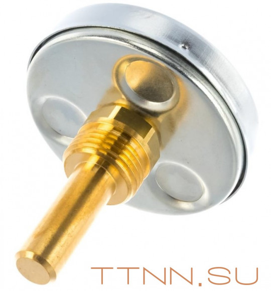 Термометр биметаллический с погружной гильзой Watts F+R801 (T) 80/100 (1/2",160"С)