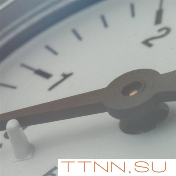 Манометр радиальный Watts F+R200 (MDR) 50/ 6x1/4"