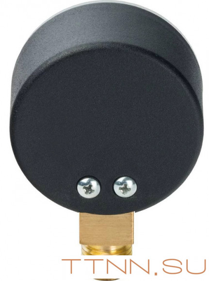 Манометр радиальный Watts F+R200 (MDR) 50/ 6x1/4"